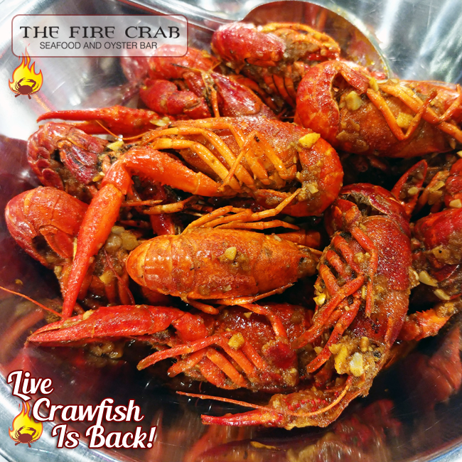 Drought Is Over We Have Live Crawfish Once Again The Fire Crab