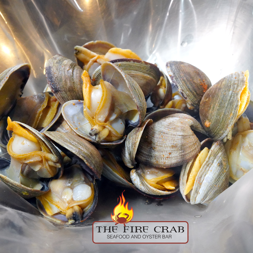 Manila Clams Big Juicy Fresh Live Seafood Orange County OC Fire Crab