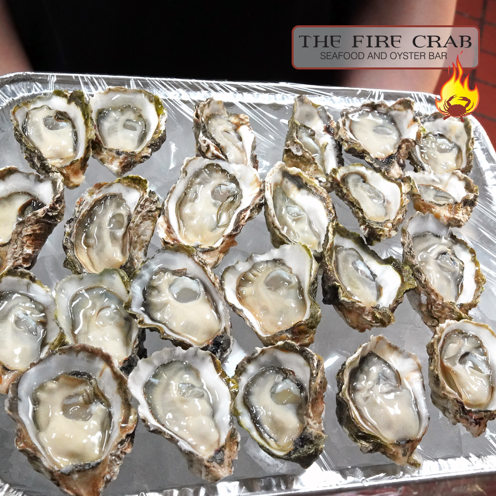 Fresh Shucked Oysters to go Garden Grove Oyster Bar Orange County OC Fire Crab