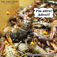 Live Crawfish Fresh Orange County OC Garden Grove Fire Crab