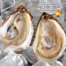 Oyster Kumiai Orange County OC Fire Crab OC Valentines Day