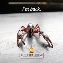 Live Crawfish OC Orange County Garden Grove Cajun Fire Crab Restaurant Alive